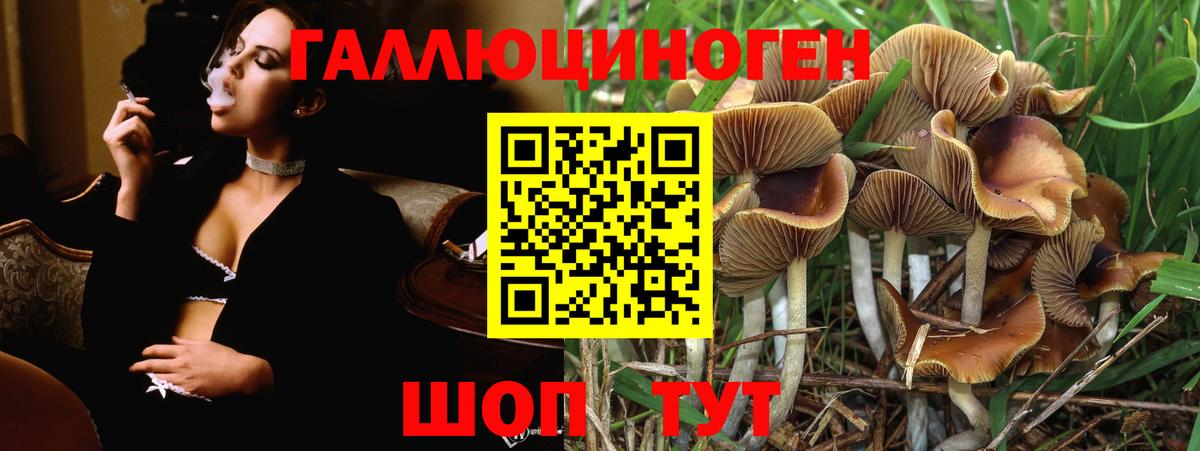 Галлюциногенные грибы ЛСД  Вход с VPN  где купить наркоту  Лыткарино 